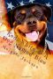 [Chloe Boston Mysteries 08] • Red, White & a Dog Named Blue · A Chloe Boston Mystery